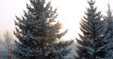 A developing low-pressure system in the southern U.S. is set to traverse North America in the coming days, bringing a complex combination of snow, rain, ice, and strong winds.