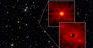 Astronomers using the James Webb Space Telescope have separated the light of a quasar from the light of its surrounding stars, offering unprecedented insight into how the universe's oldest black holes grew.