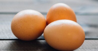 Egg Recall Announced for Six Canadian Brands